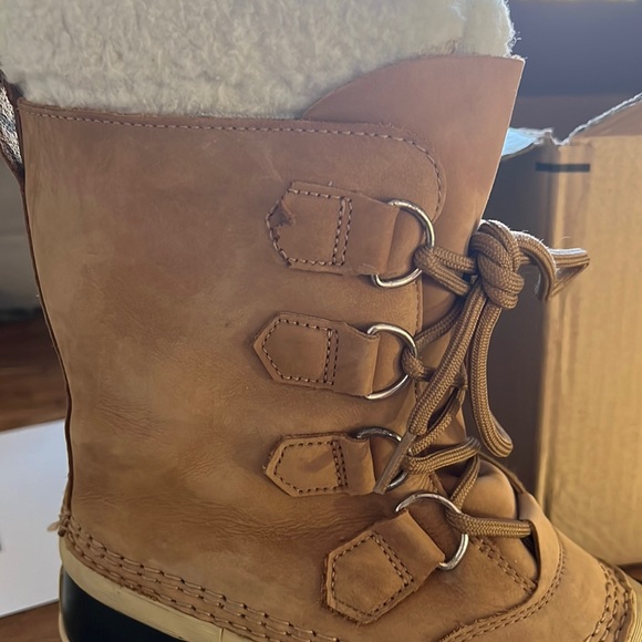 Sorrel not for sale - Picture 1 of 1